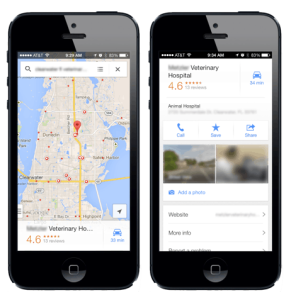 Online Brand Reputation Becomes Even More Critical for Veterinary Practices