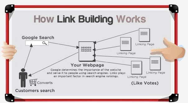 How Link Building Works for Veterinarians