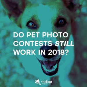 Do Pet Photo Contests Still Work in 2018?